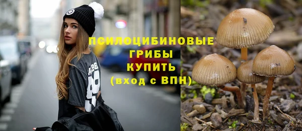 не бодяженный Алзамай
