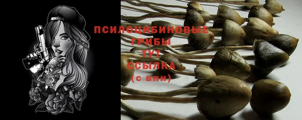 не бодяженный Алзамай